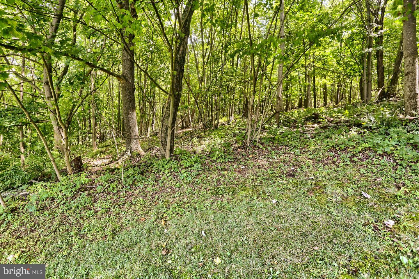 301 Lenker Rd Property Photo 43