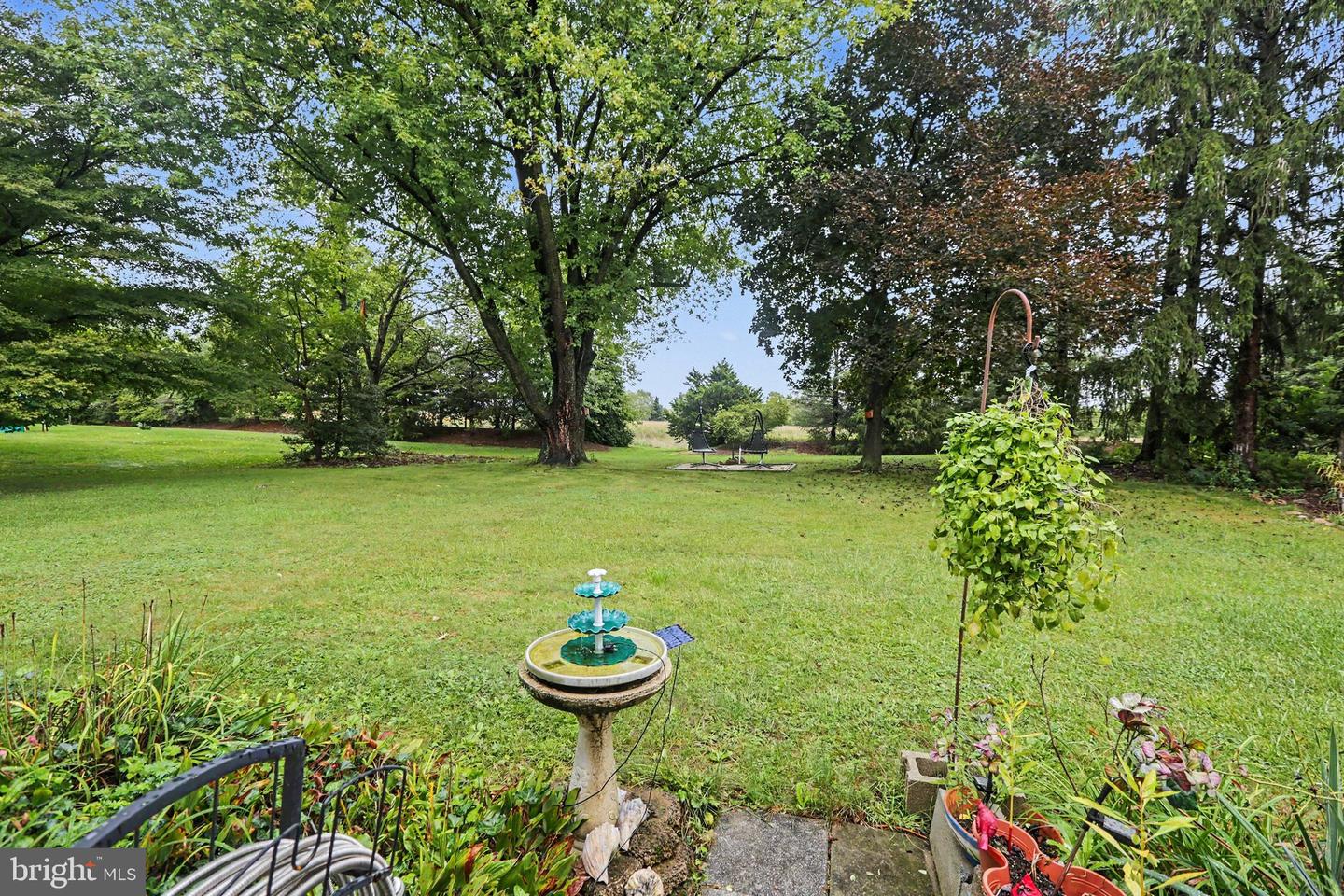 27 Forest Ave Property Photo 38