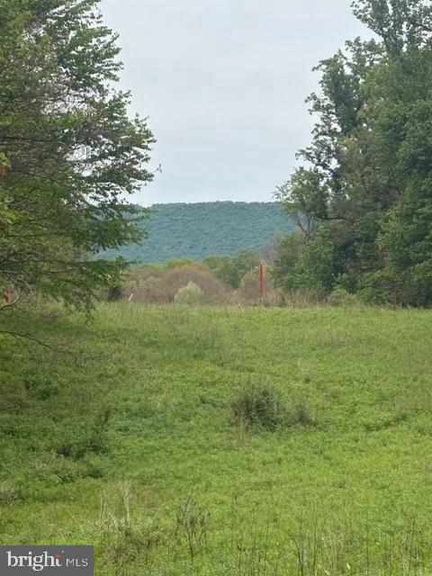 1311 Red Hill Rd Property Photo 1