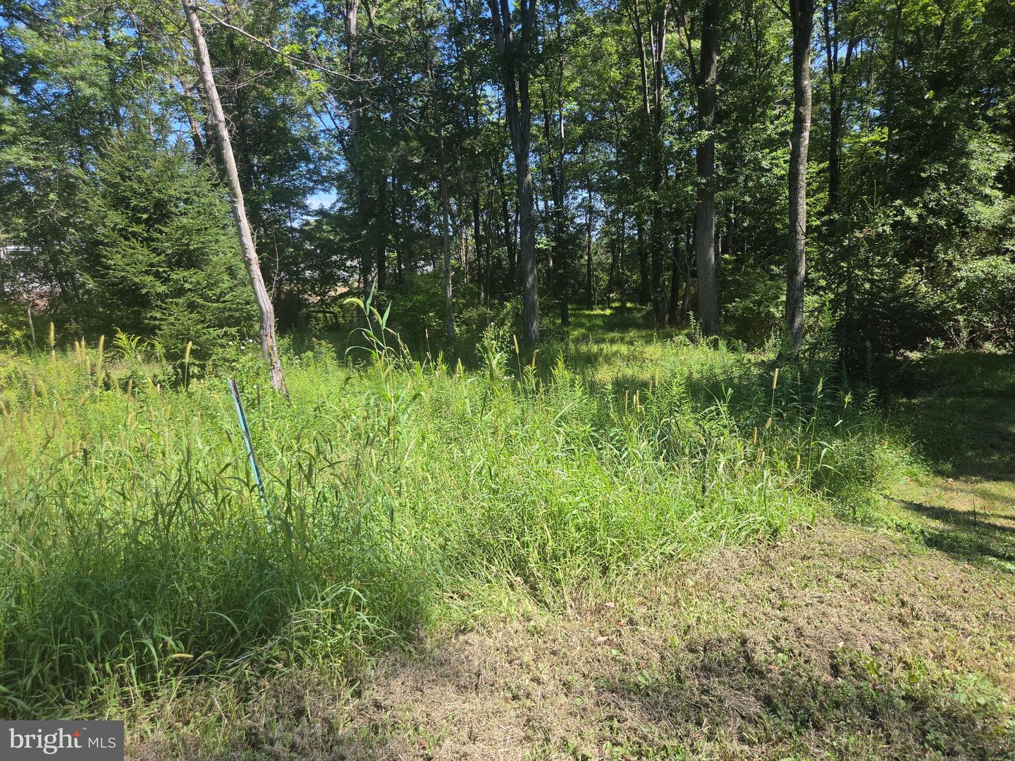3454 Hill Rd Property Photo 15