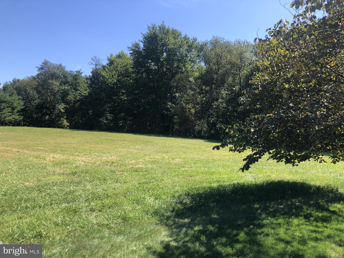 Lot 59 Earl Dr Property Photo 1