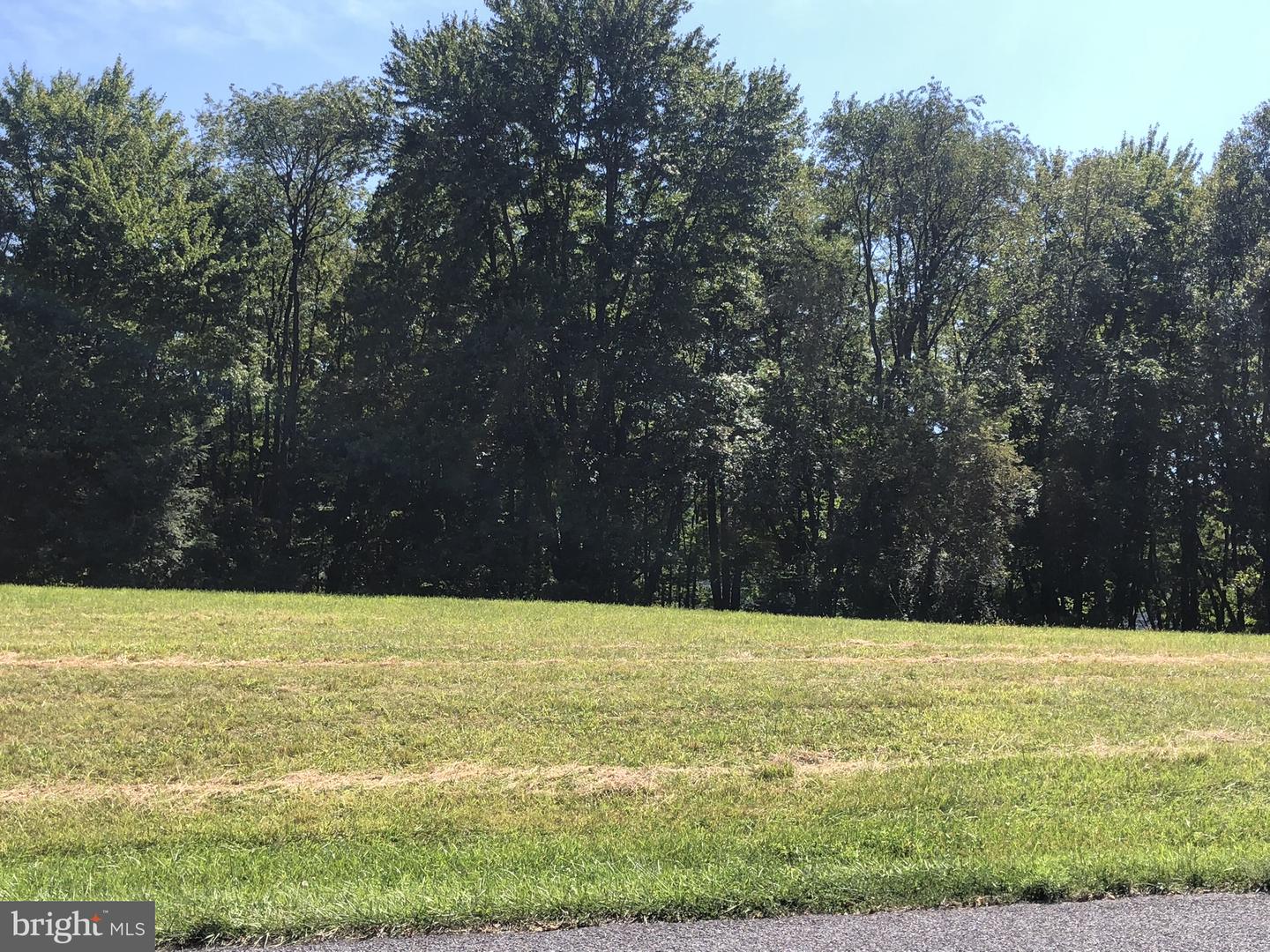 Lot 59 Earl Dr Property Photo 4