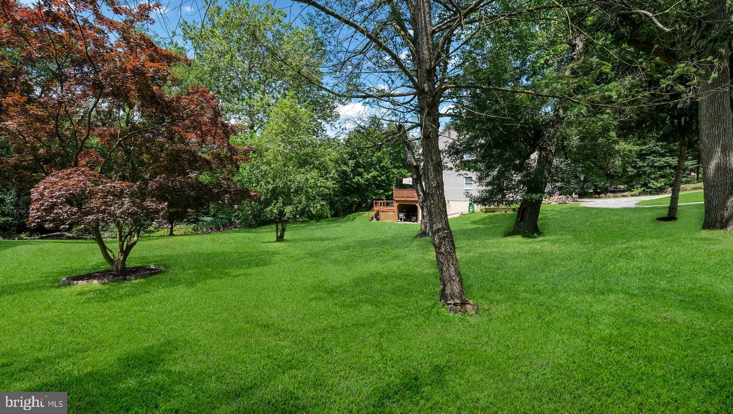 1813 Manor Ave Property Photo 6