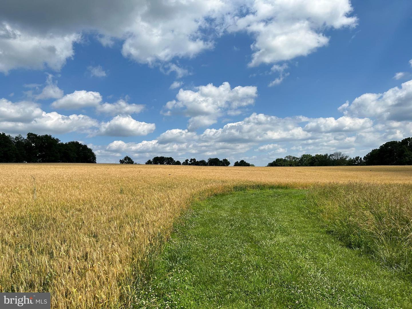 Lot 13 Stoney Lane Property Photo 3