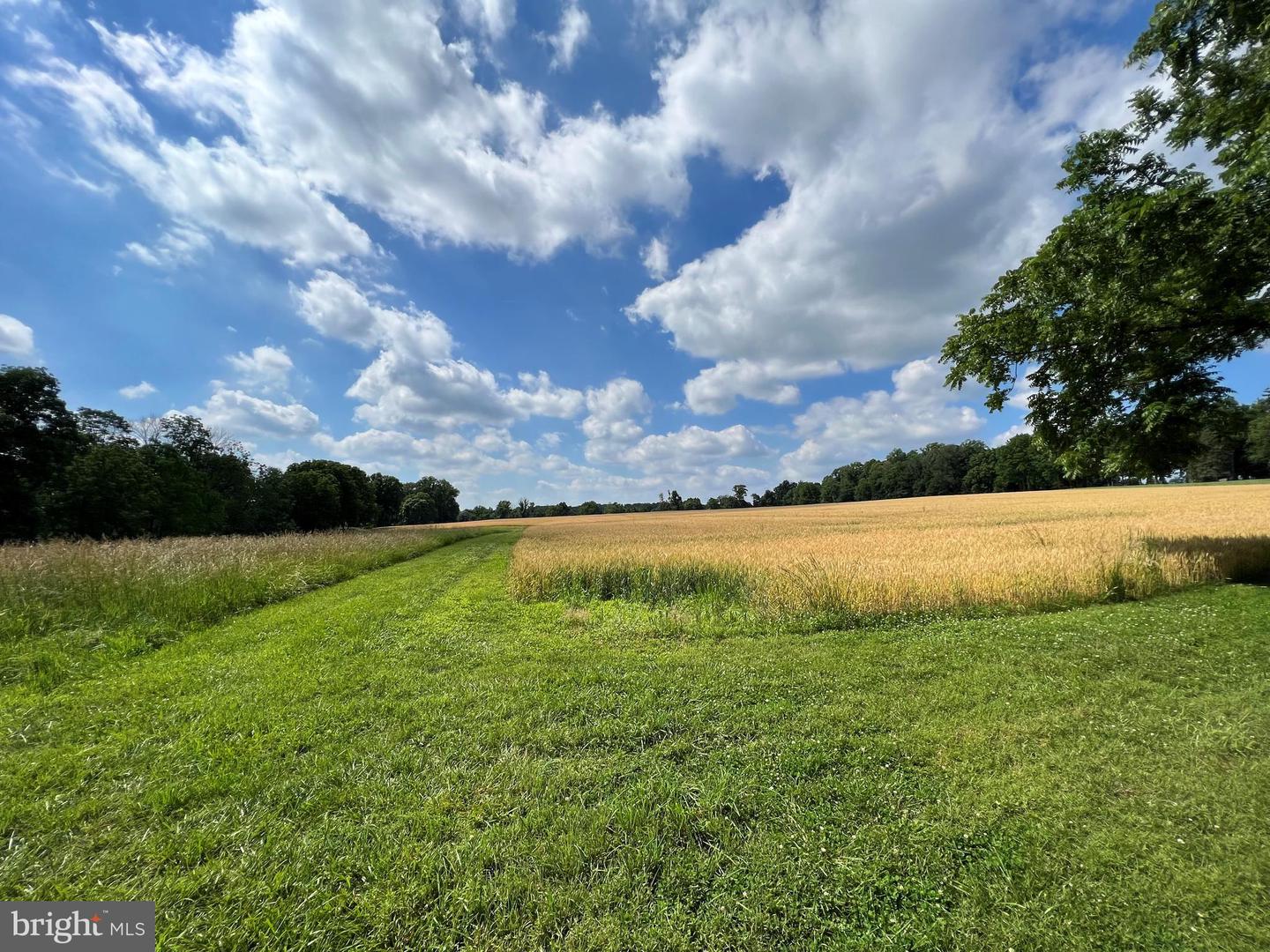 Lot 13 Stoney Lane Property Photo 4