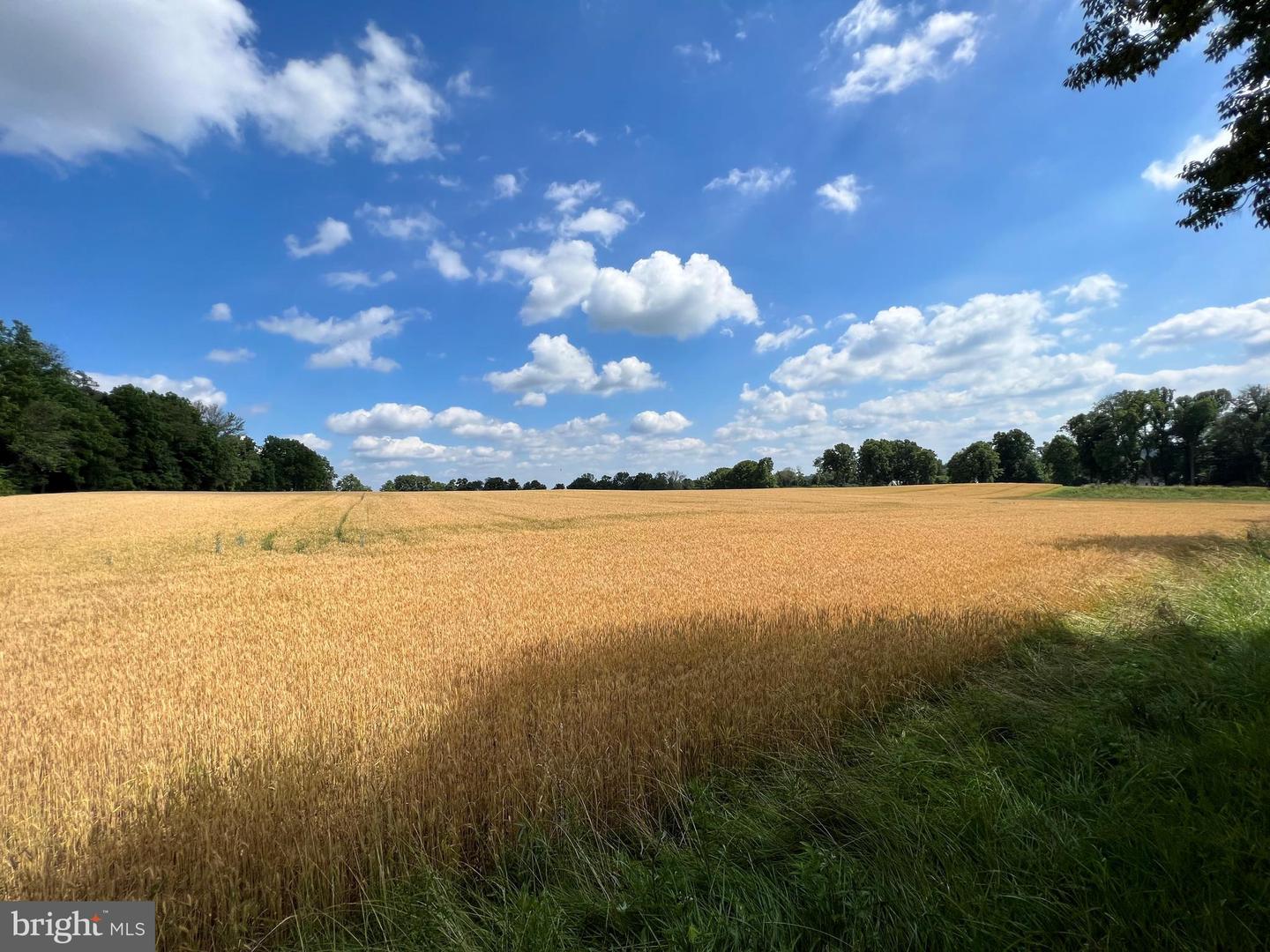 Lot 13 Stoney Lane Property Photo 5