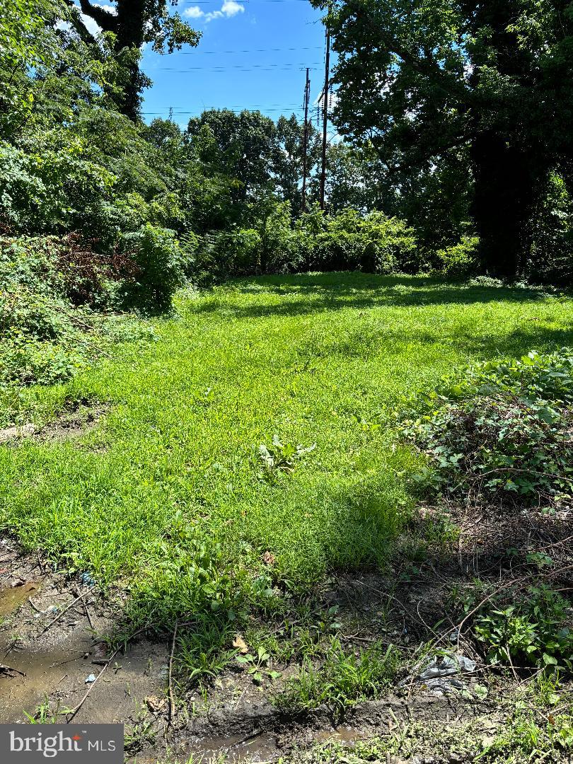 0 Eggleston Cir Property Photo 2