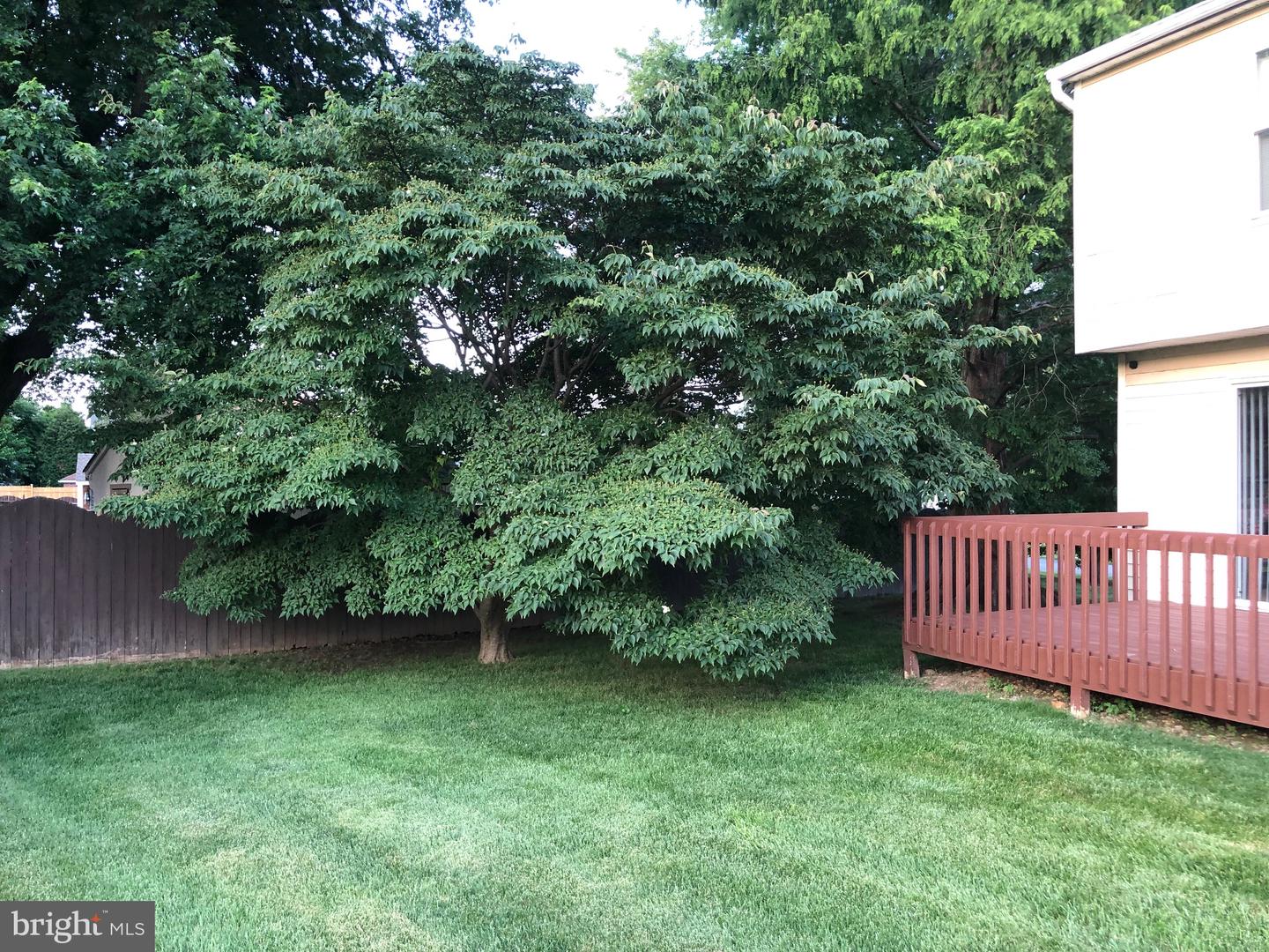 129 Ronald Rd Property Photo 14