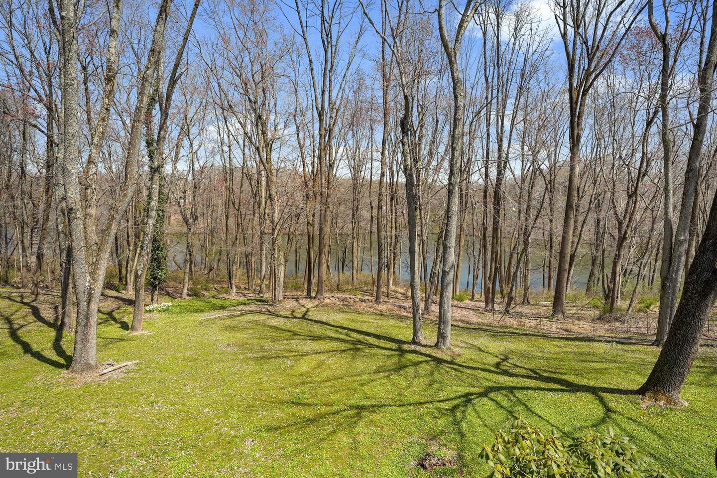 134 Springton Lake Rd Property Photo 75