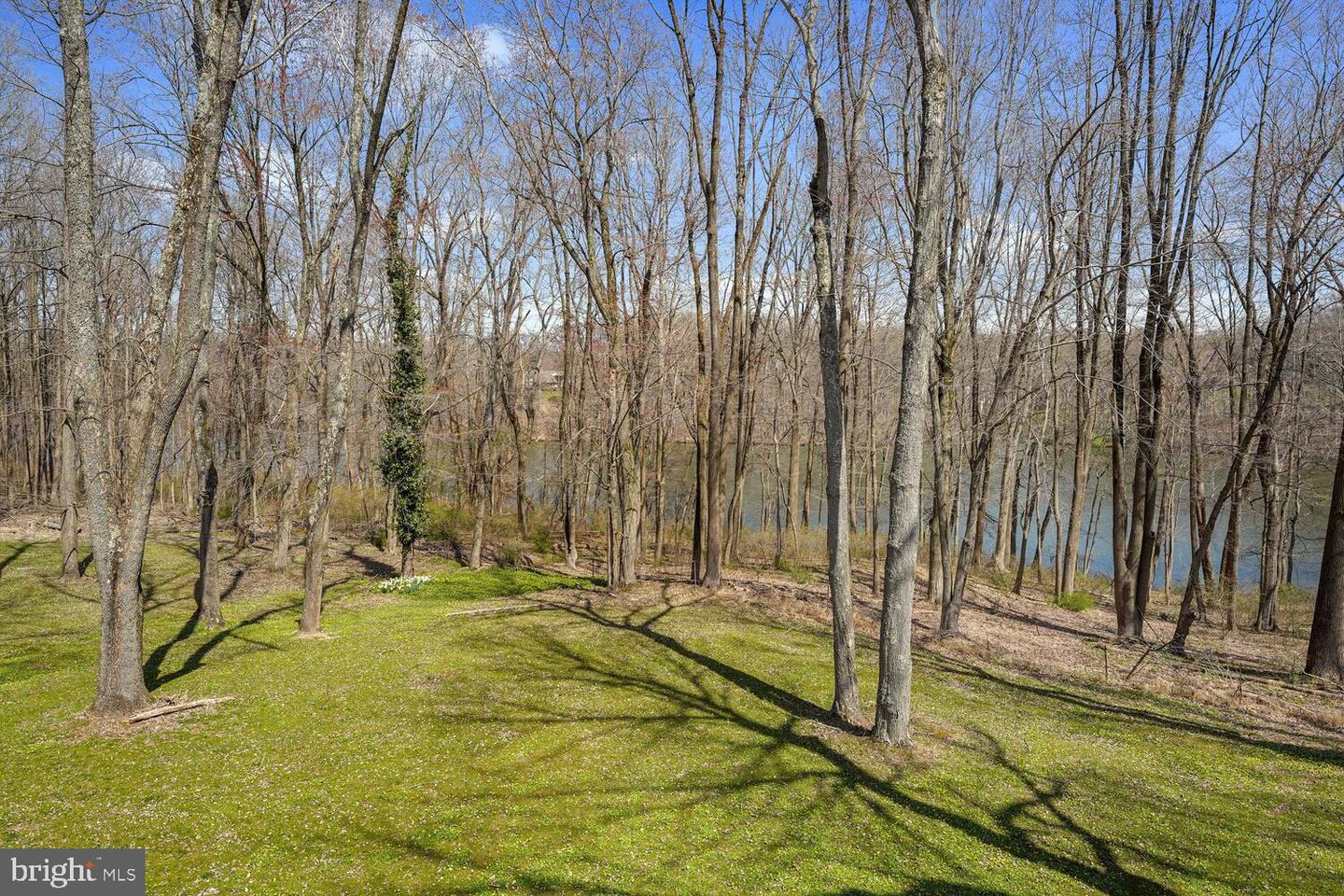 134 Springton Lake Rd Property Photo 77