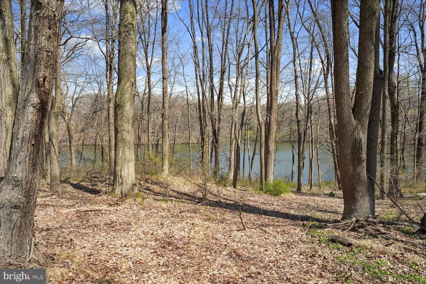 134 Springton Lake Rd Property Photo 78