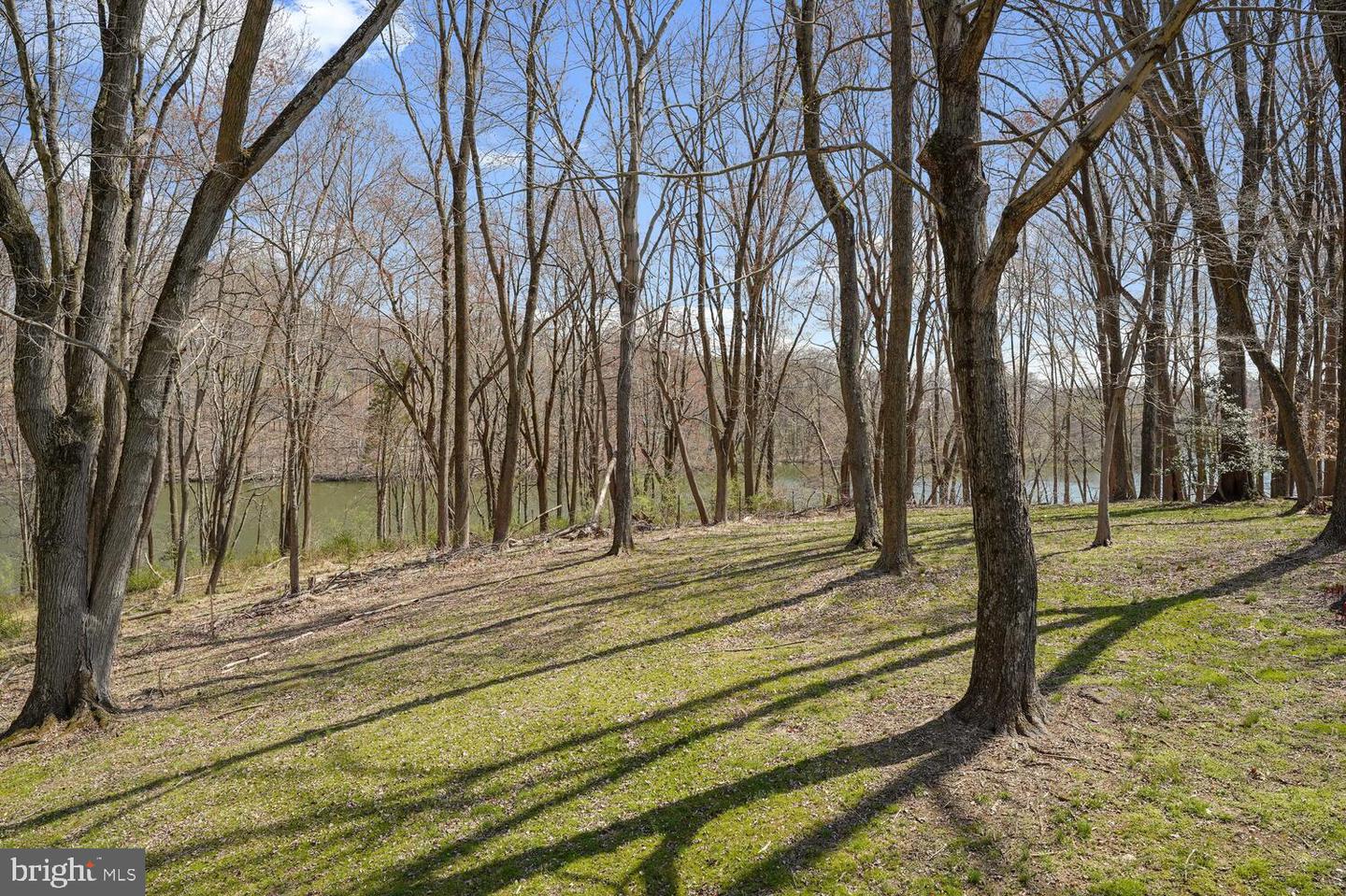 134 Springton Lake Rd Property Photo 79