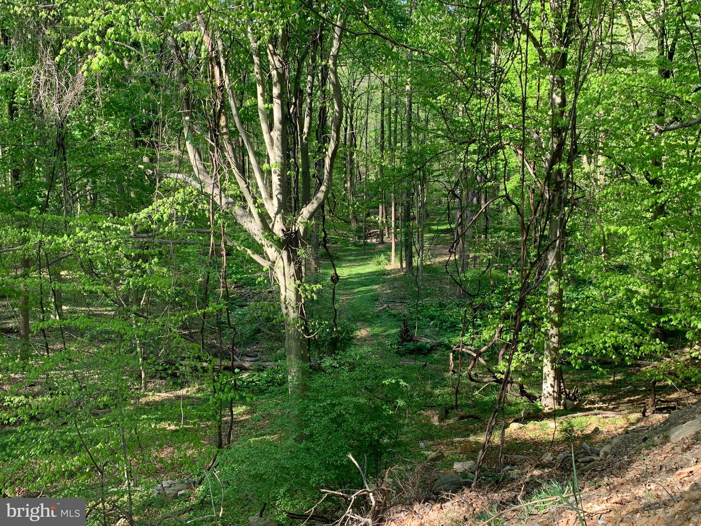 0-ced Cedar Grove Rd Property Photo 3