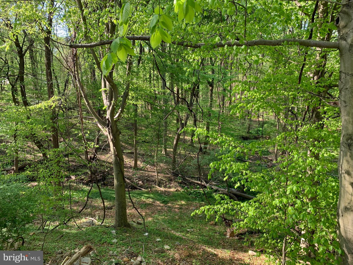 0-ced Cedar Grove Rd Property Photo 5