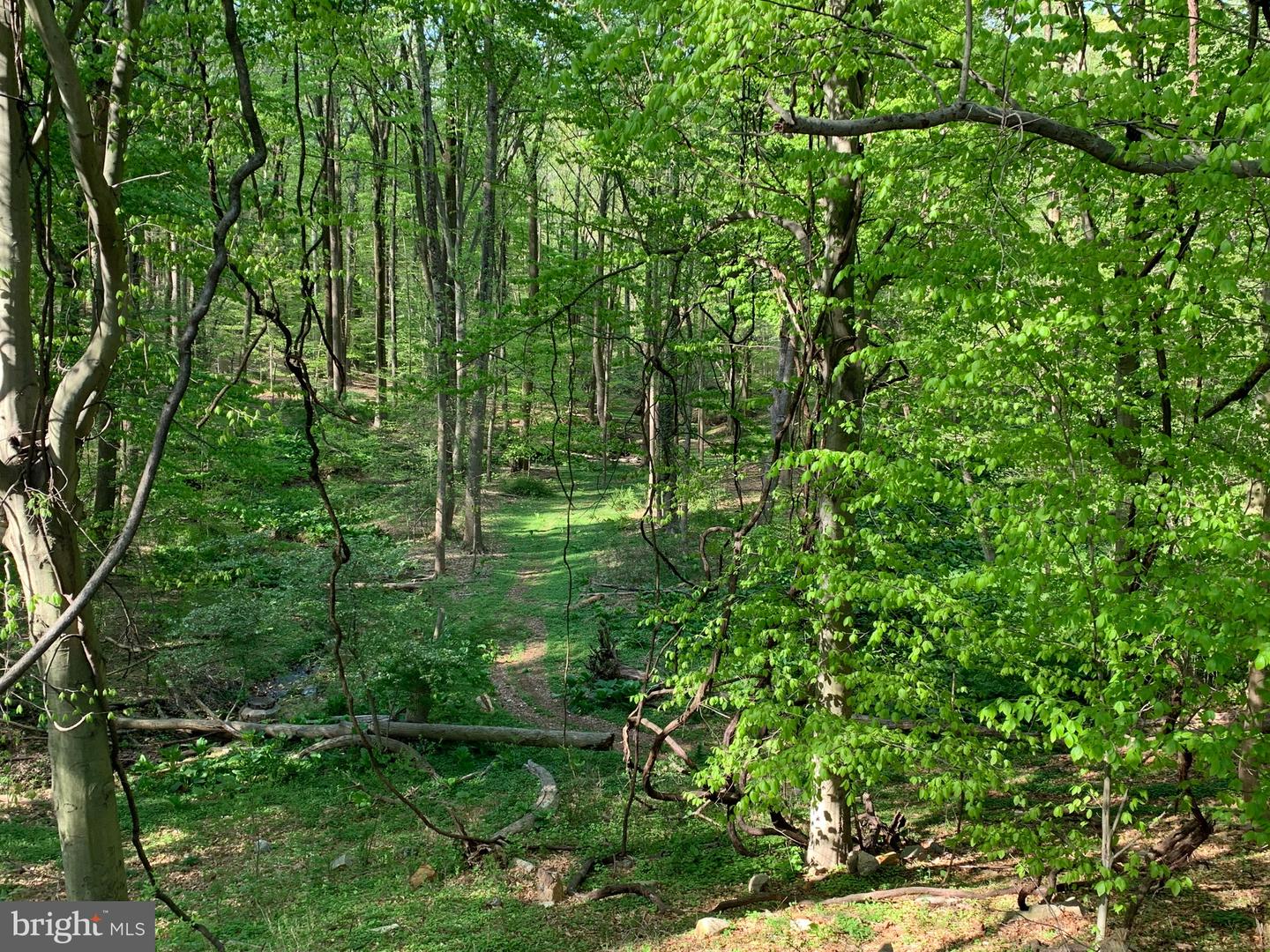 0-ced Cedar Grove Rd Property Photo 6