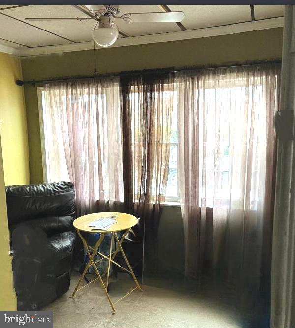 75 Lamport Rd Property Photo 4