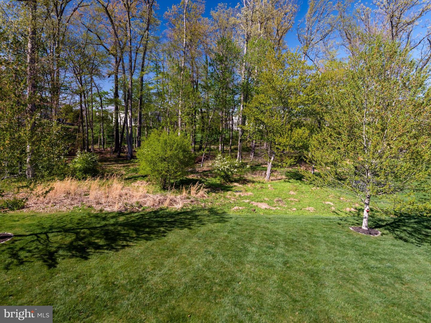 3805 Woodland Dr Property Photo 43