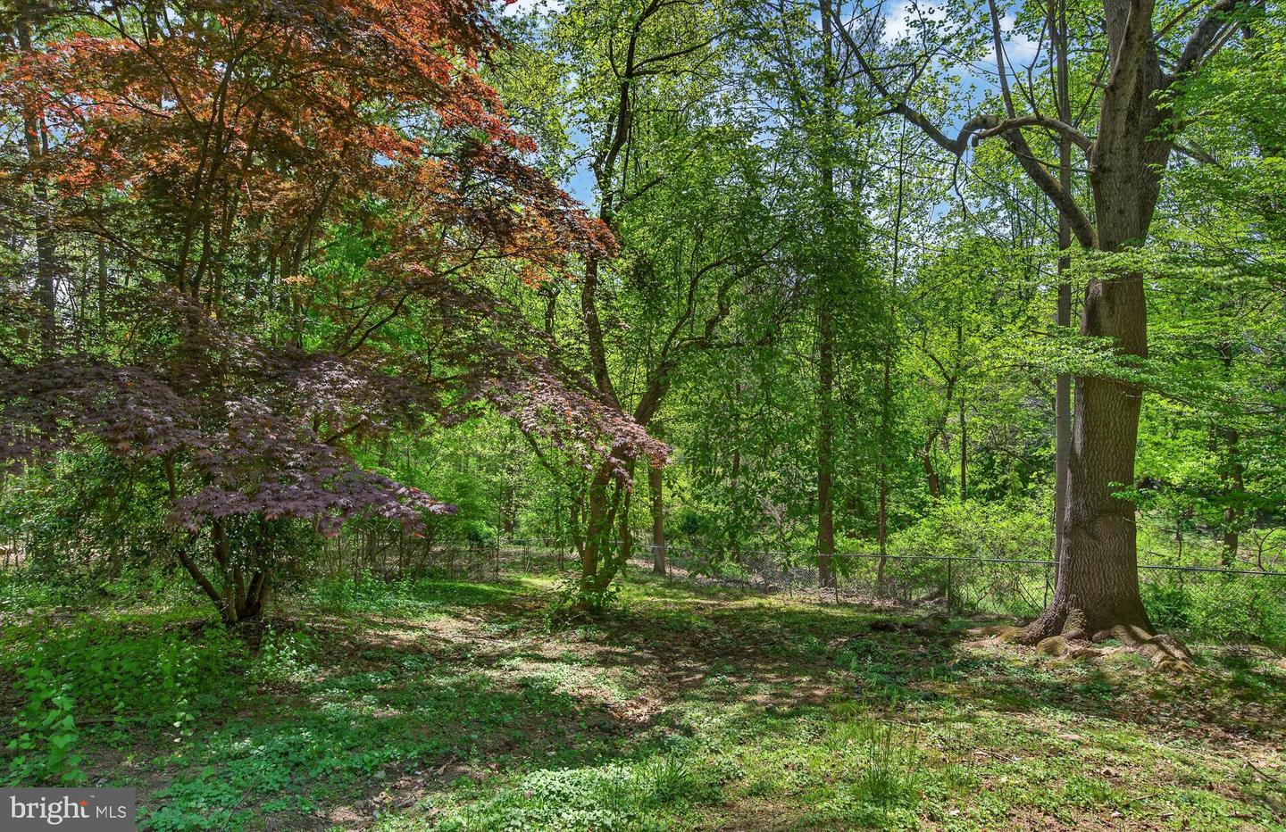 454 Kirk Ln Property Photo 44