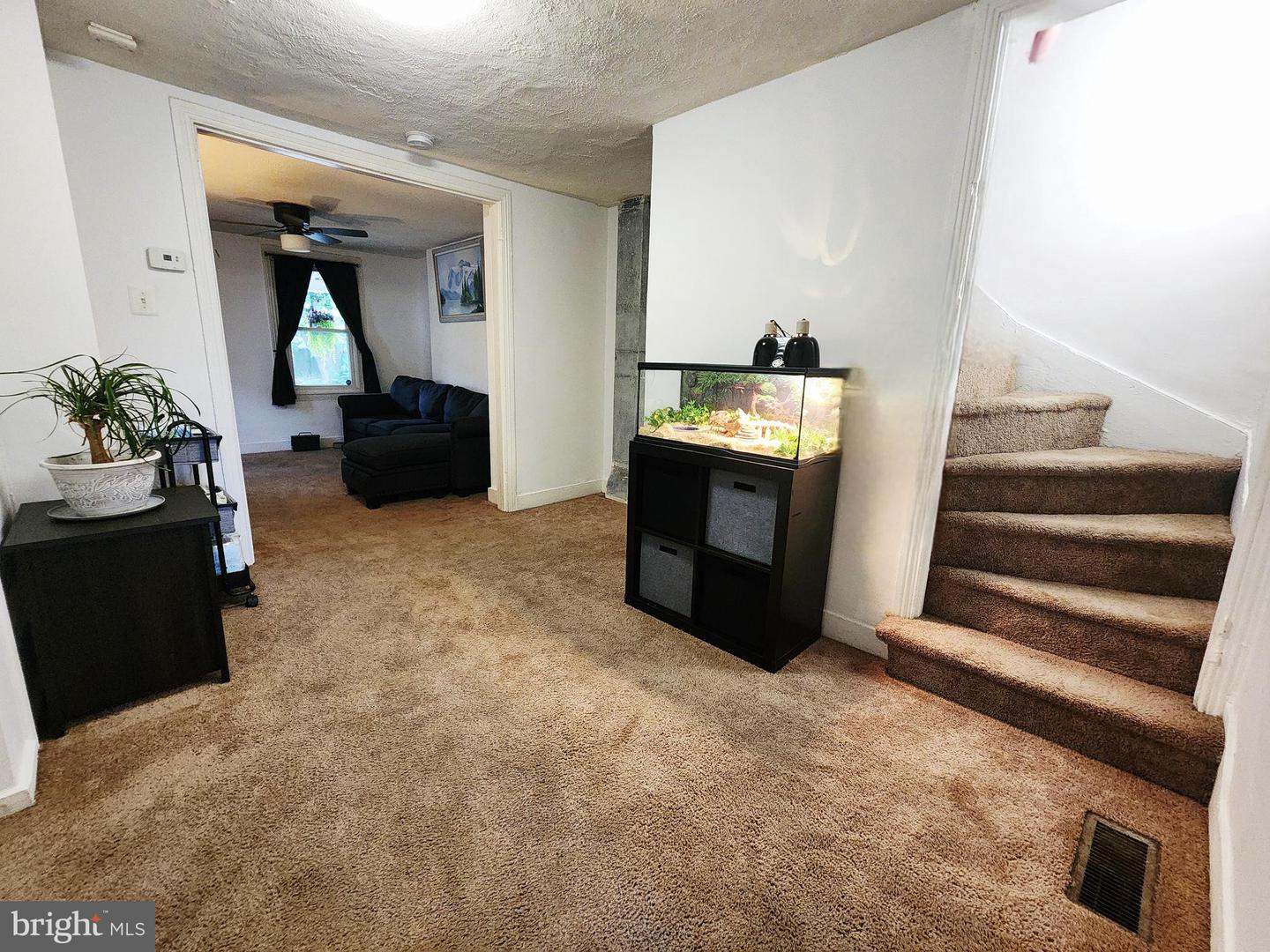 336 Springfield Rd Property Photo 10