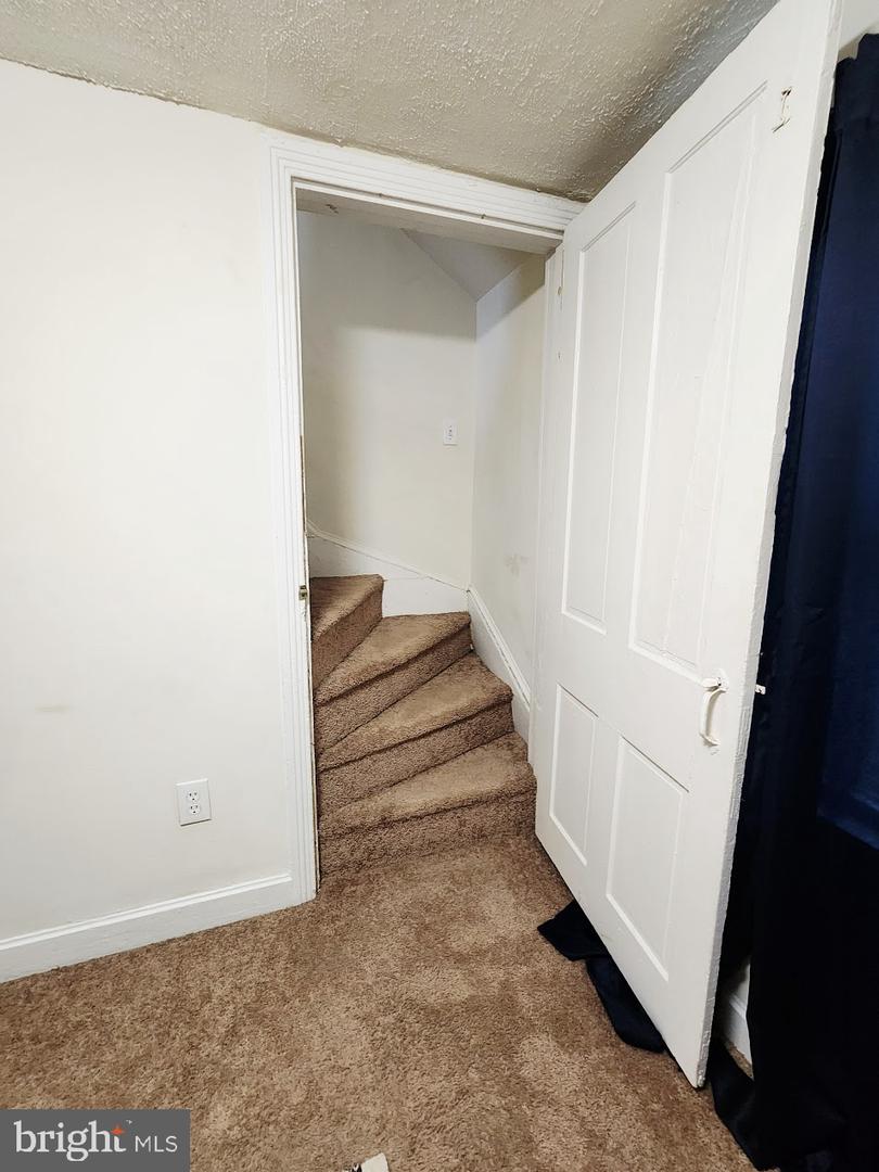 336 Springfield Rd Property Photo 16