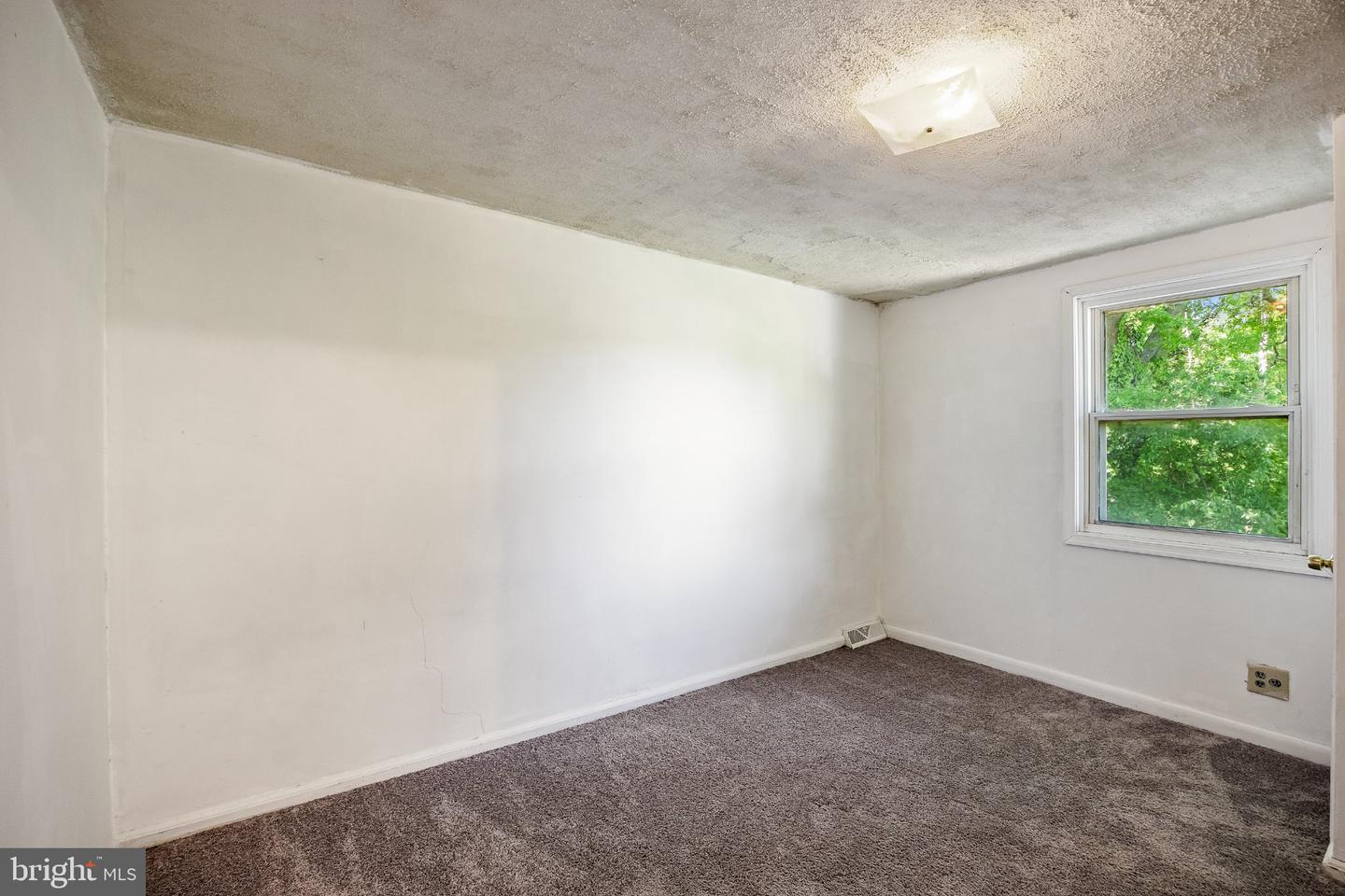 311 Fern St Property Photo 15
