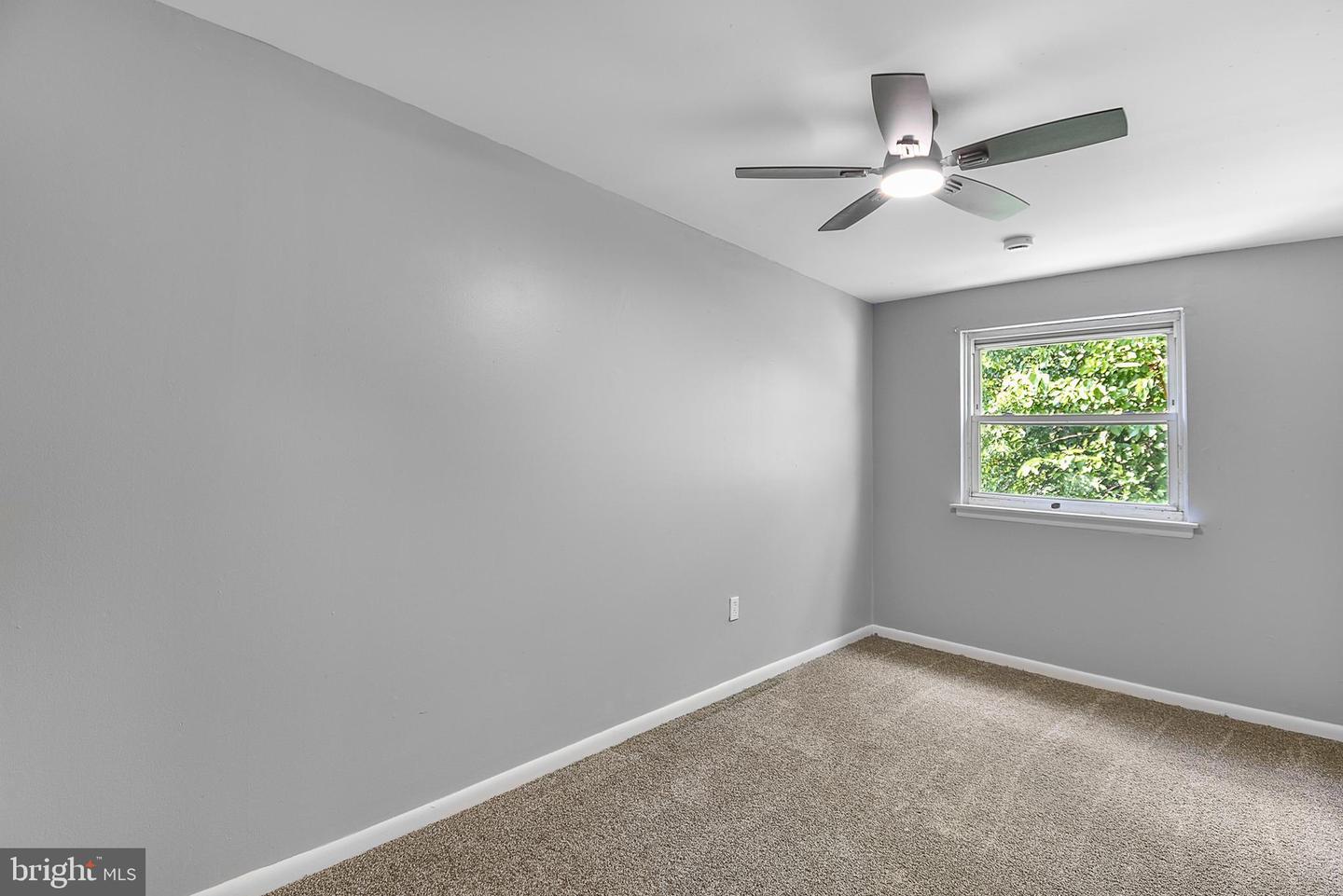 164 Abbey Ter Property Photo 6