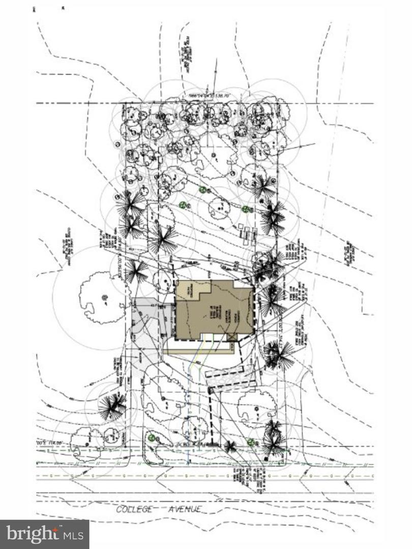 104 College Ave Property Photo 3
