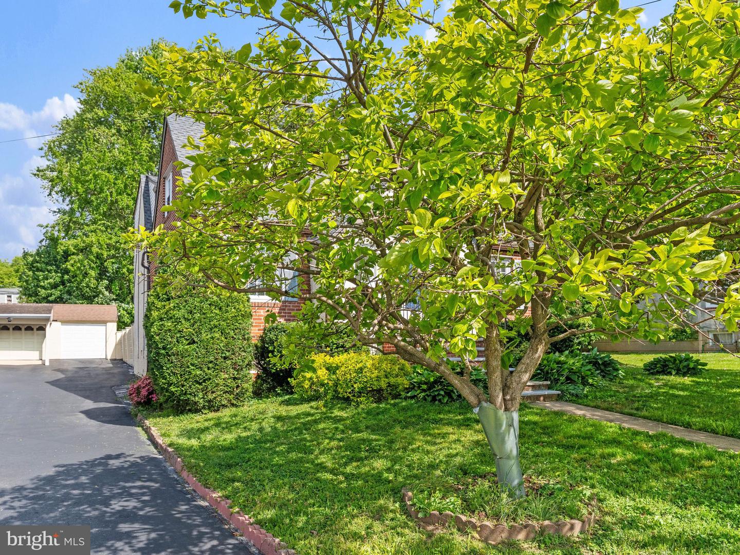 20 Davis Ave Property Photo 6