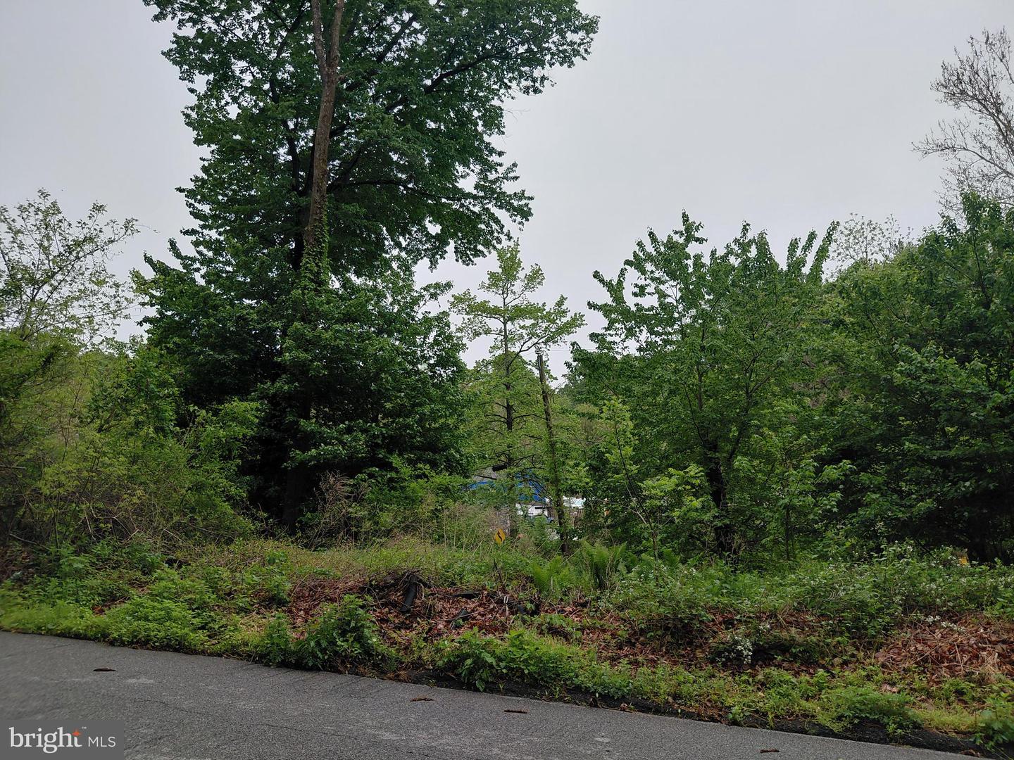 115 Pennell Rd Property Photo 2