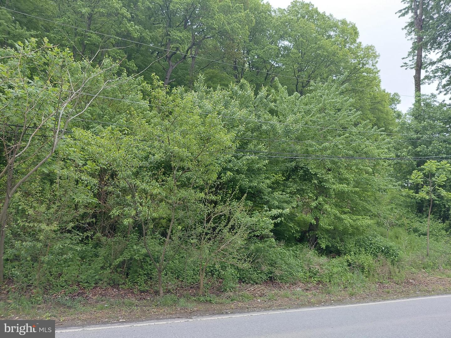 115 Pennell Rd Property Photo 3