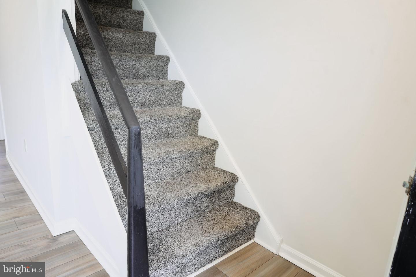 1134 Woodland Ave Property Photo 5