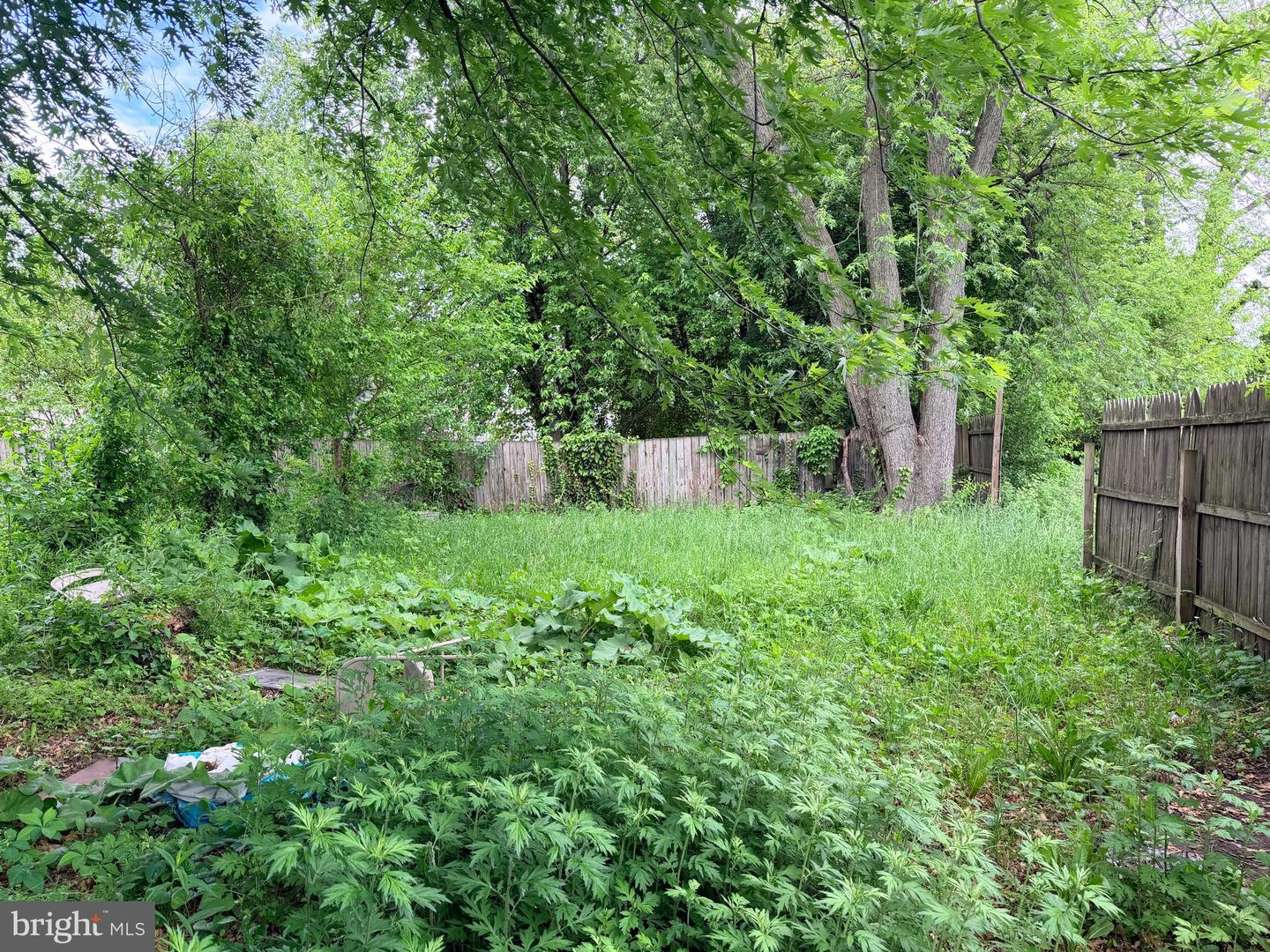 1113-1115 Upland St Property Photo 19
