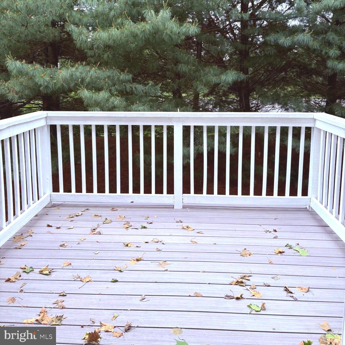 117 Julianna Way Property Photo 24