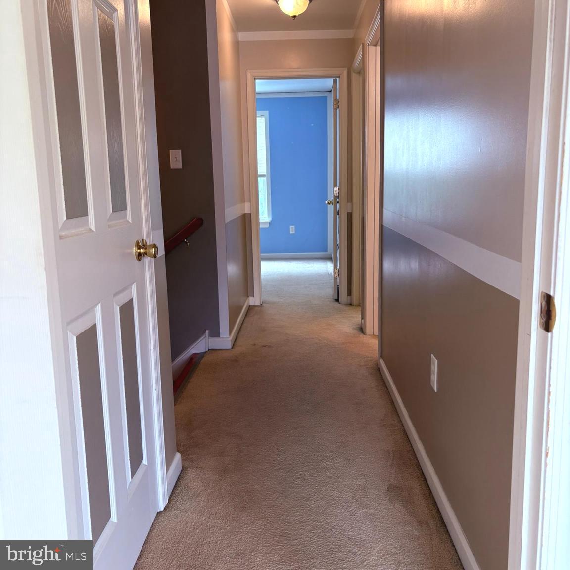 117 Julianna Way Property Photo 32