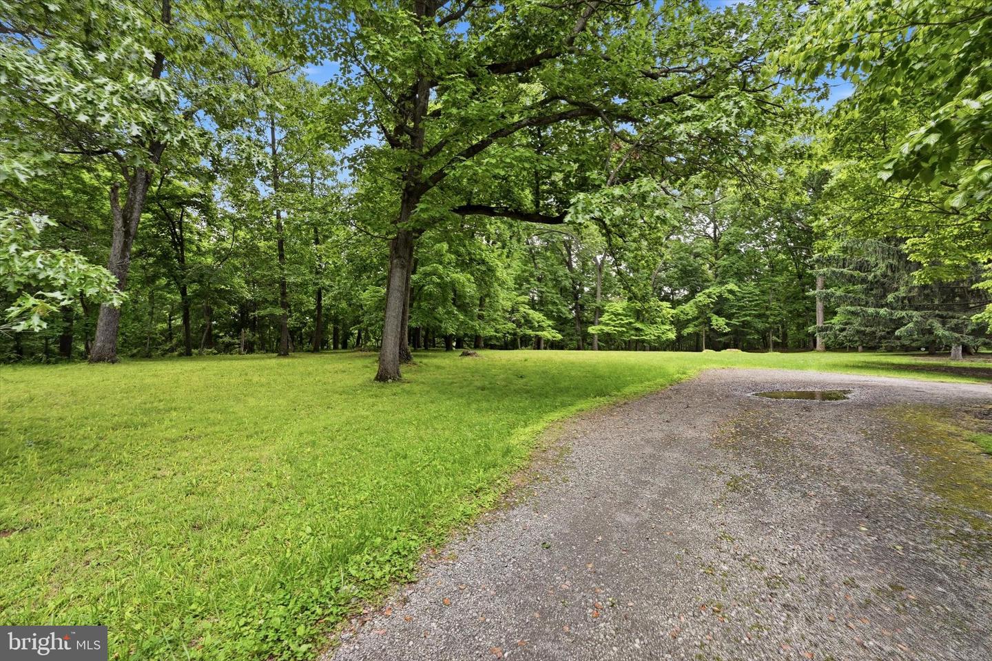 Lot #2 Dogwood Ln Property Photo 1