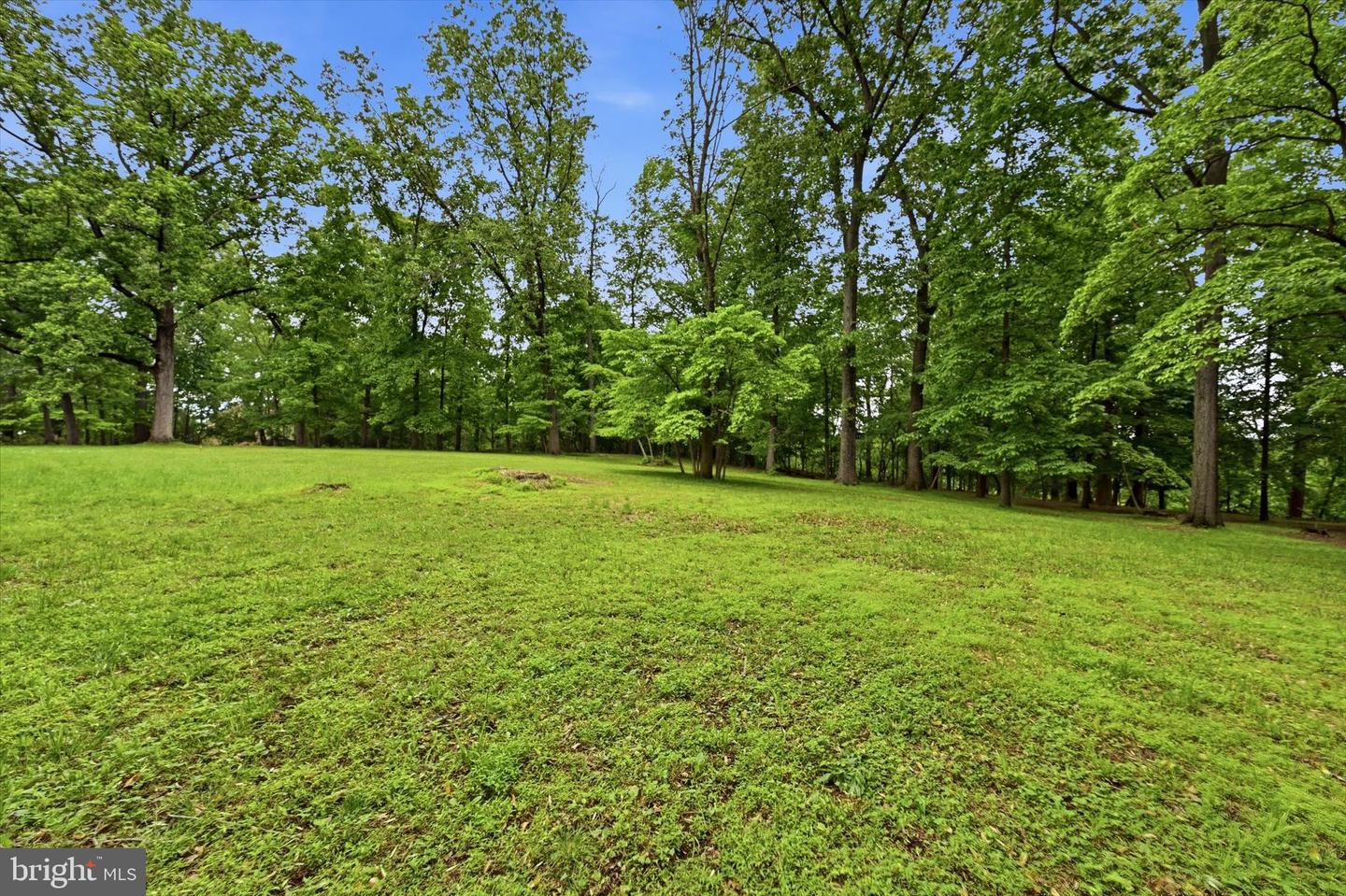 Lot #2 Dogwood Ln Property Photo 2