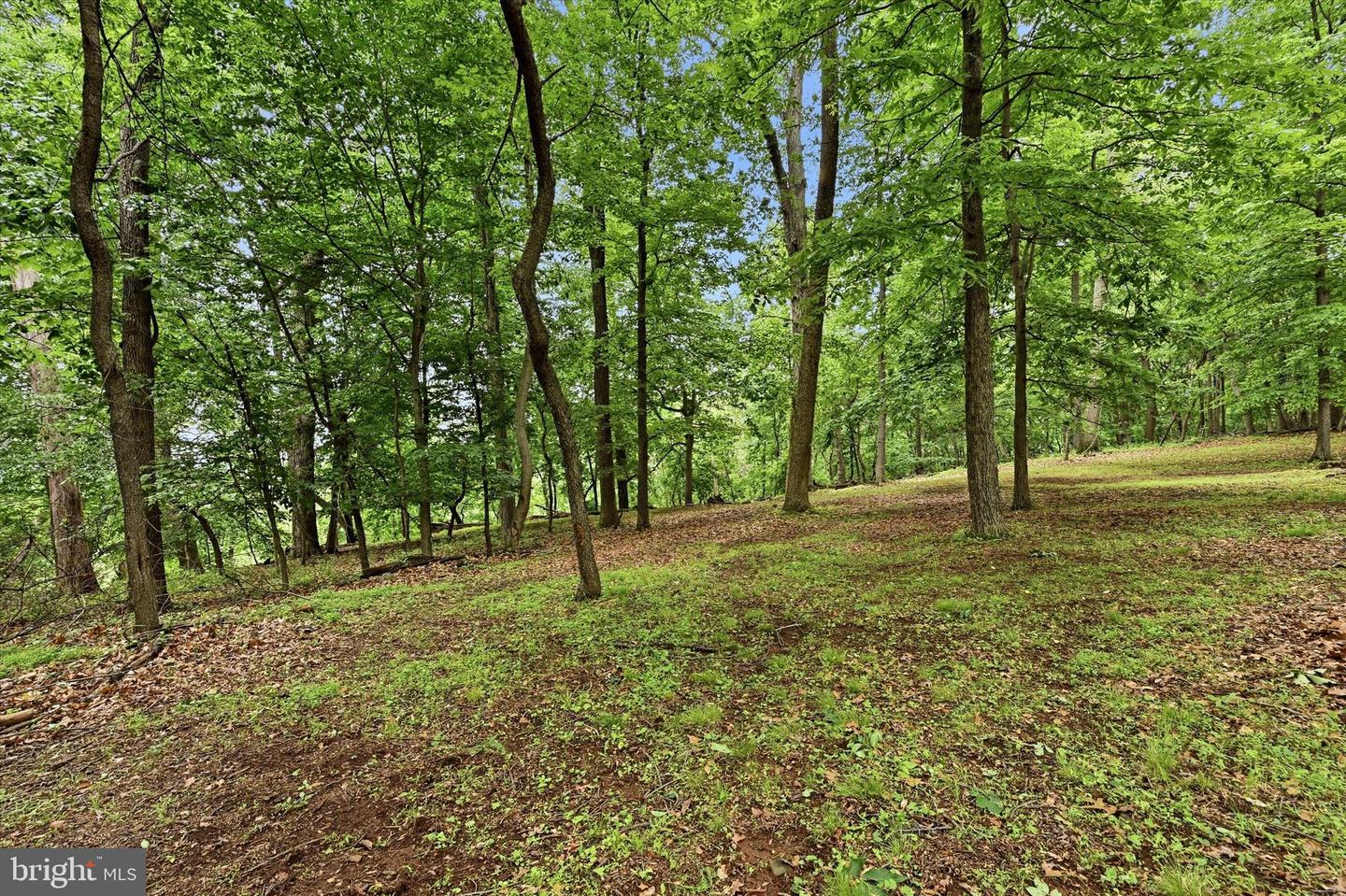 Lot #2 Dogwood Ln Property Photo 5