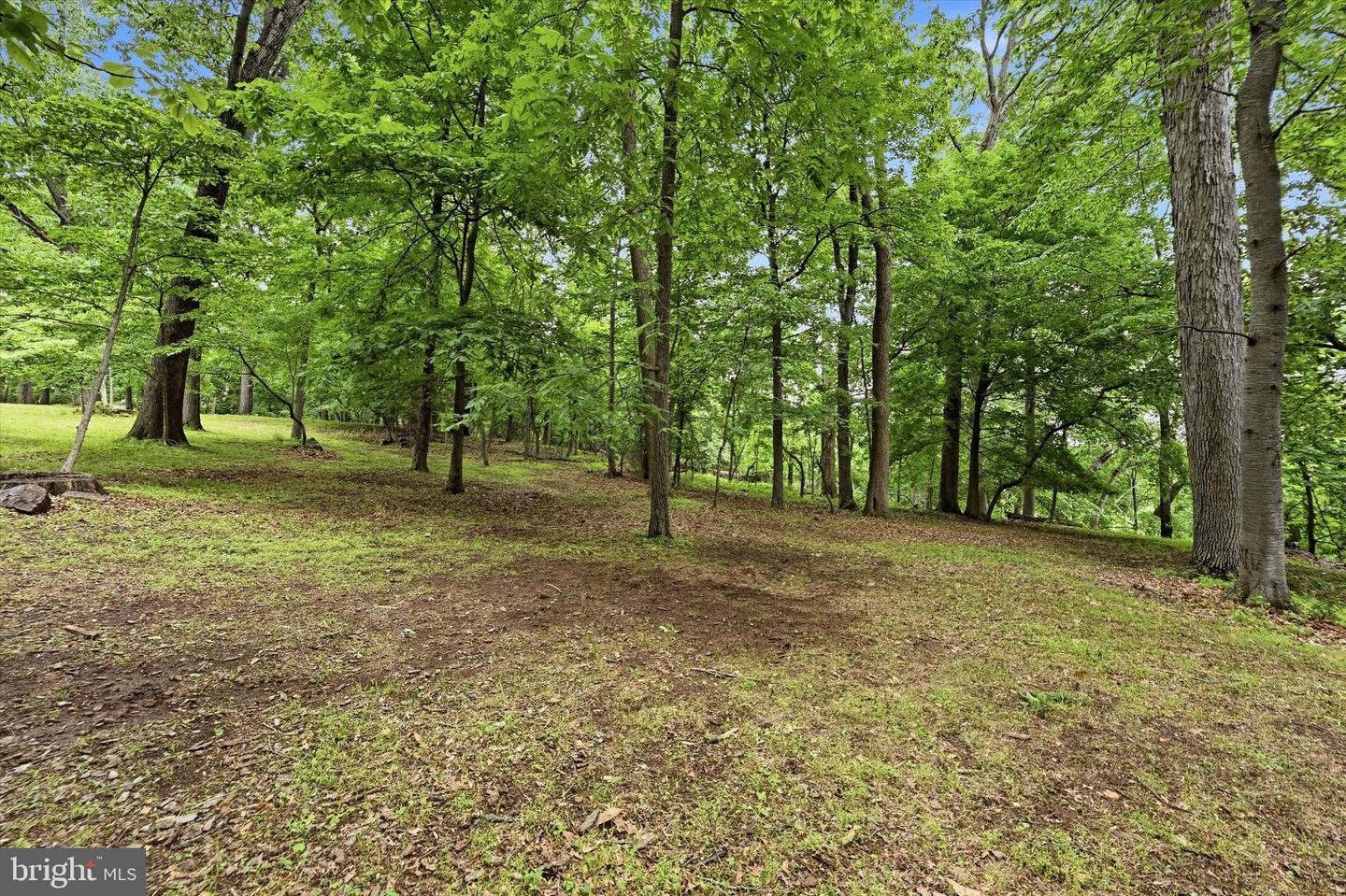 Lot #2 Dogwood Ln Property Photo 6