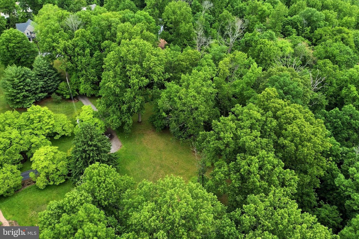 Lot #2 Dogwood Ln Property Photo 10
