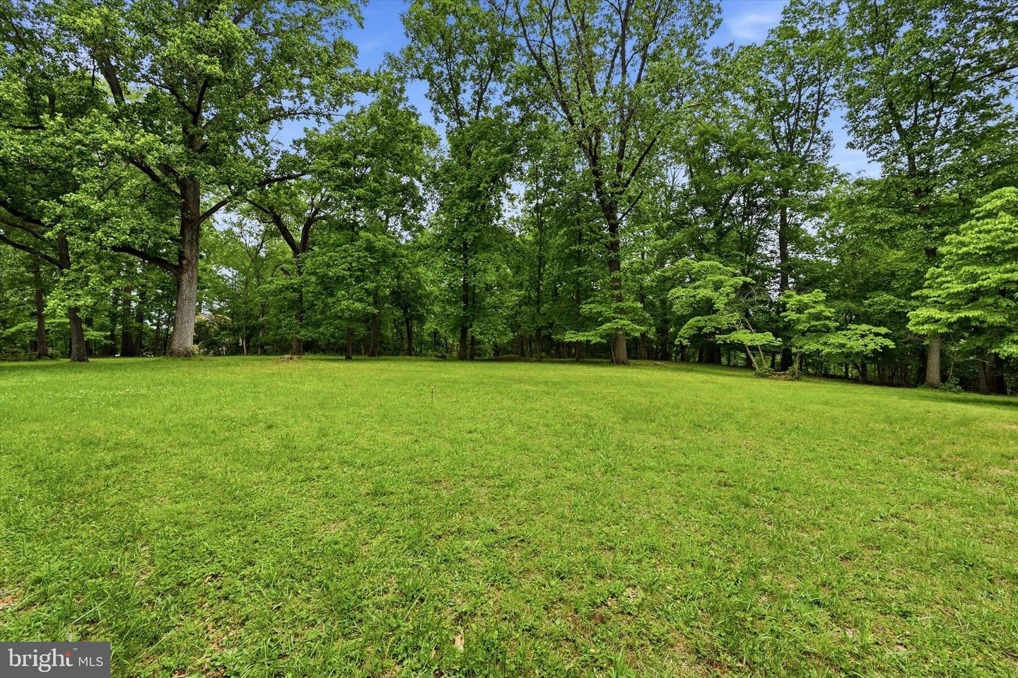 Lot #1 Dogwood Ln Property Photo 2