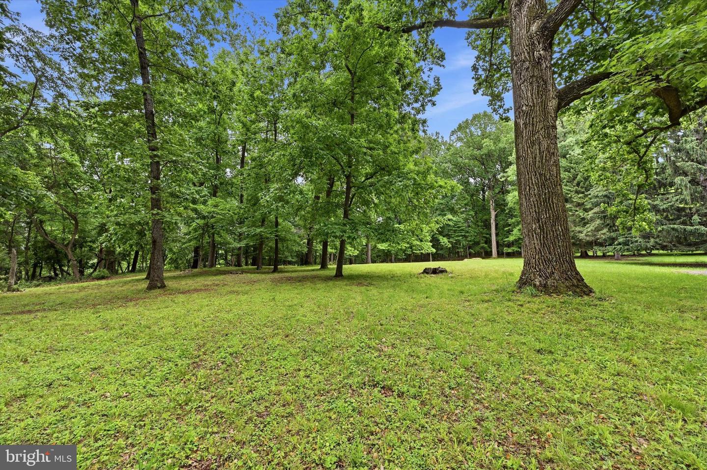 Lot #1 Dogwood Ln Property Photo 3