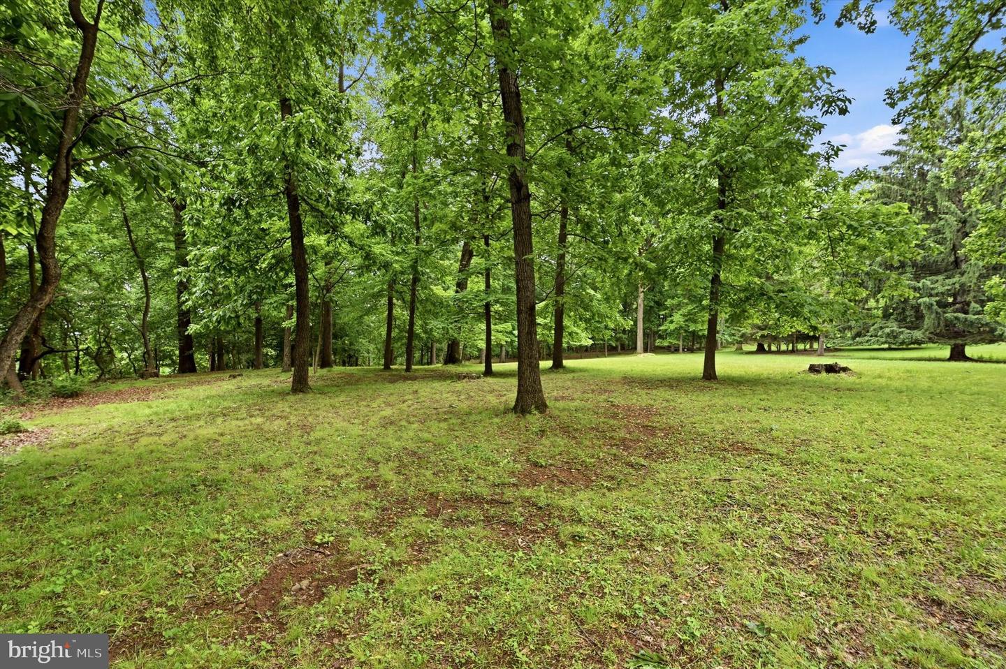Lot #1 Dogwood Ln Property Photo 4