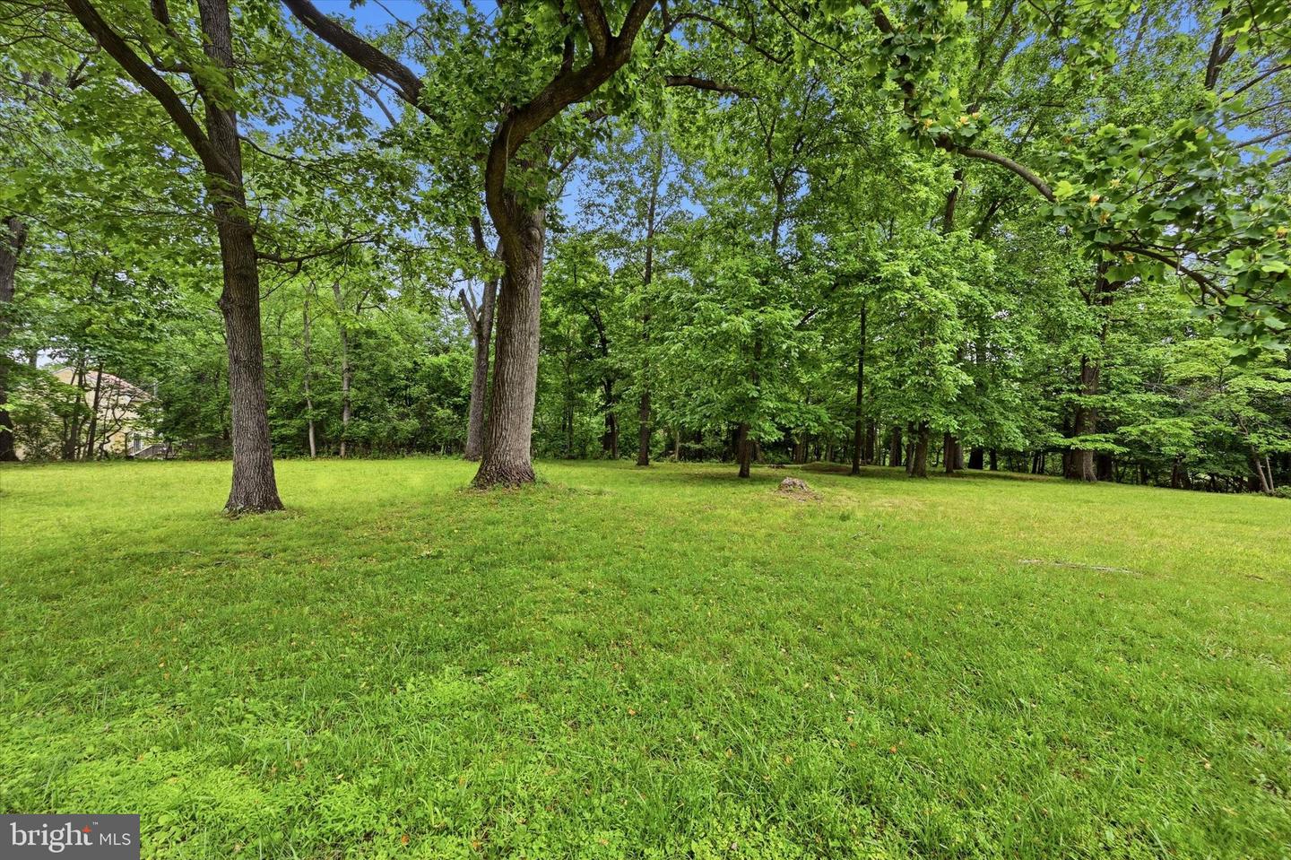 Lot #1 Dogwood Ln Property Photo 5