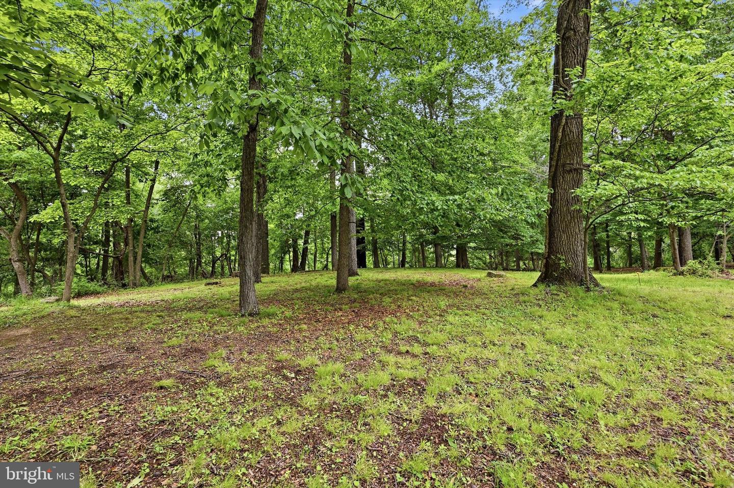 Lot #1 Dogwood Ln Property Photo 6
