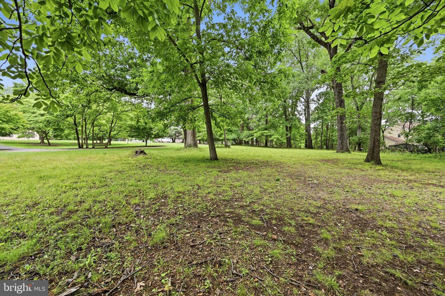 Lot #1 Dogwood Ln Property Photo 7