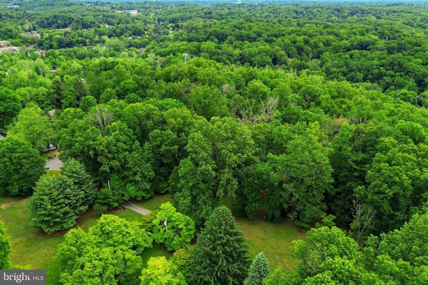 Lot #1 Dogwood Ln Property Photo 11