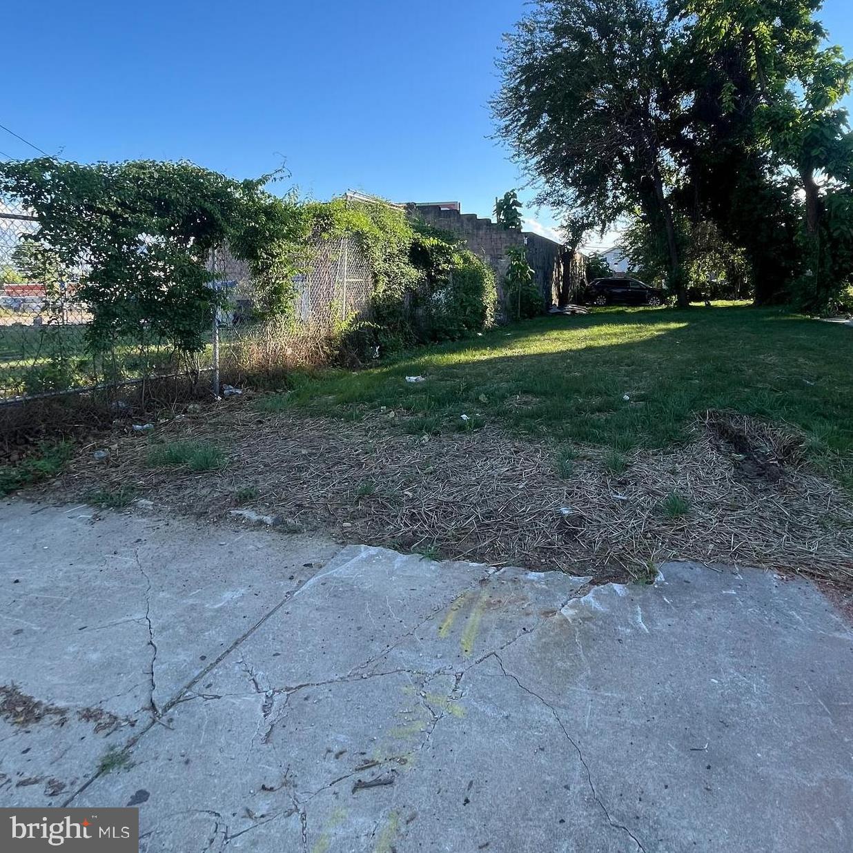 206 Pusey St Property Photo 2