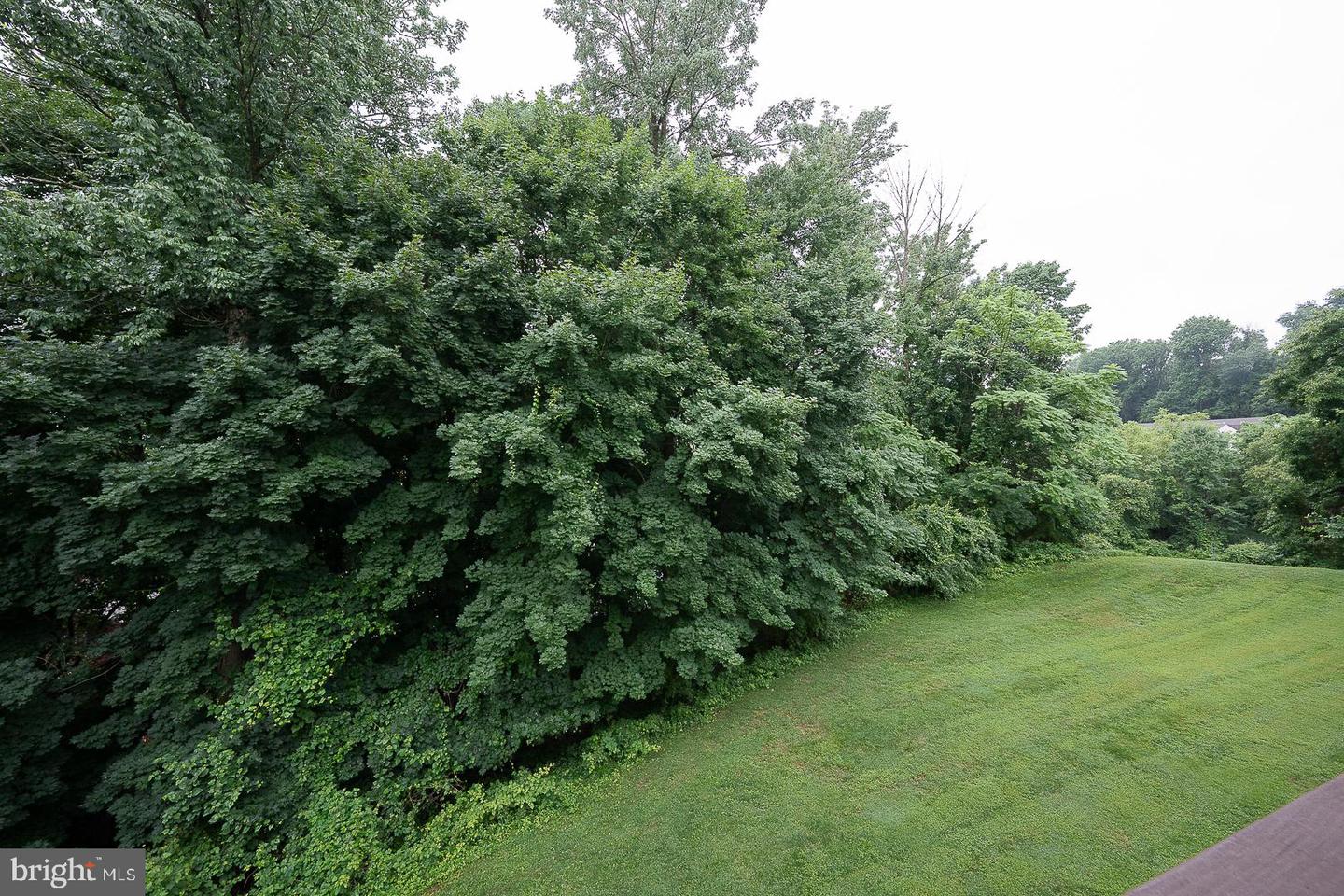 421 Derry Dr #421 Property Photo 18