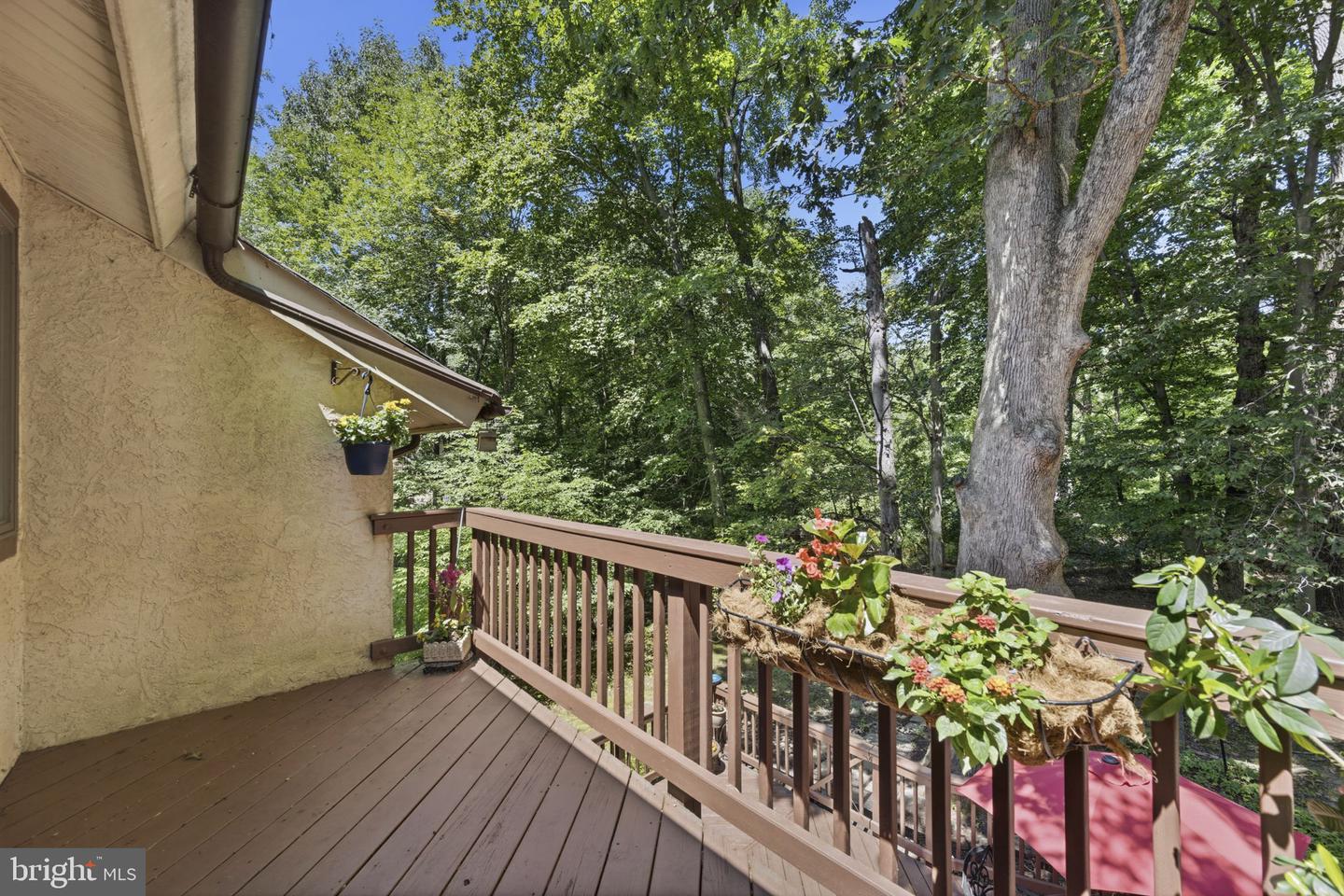 502 Williamson Cir Property Photo 20
