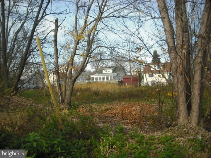 Lot 1 Mason St Property Photo 2